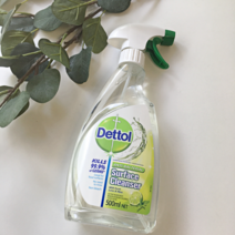 데톨 살균소독제 스프레이 라임민트향 500ml, 2. AJAX 살균소독제 스프레이 500ml