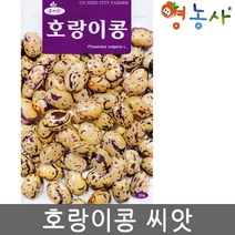 호랑이콩 씨앗 30g 콩씨앗 콩씨 호랑이콩씨 씨, 청농호랑이콩
