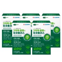 여성 식약청 은행잎 추출물 떨림 징코 징크 혈행 머리 뇌 혈관 에 좋은 영양제 식품 부모님 노인 순환 영양제 보조 식약처 인정 홈쇼핑 추천 머리에 40대 50대 60대, 5개(5개월분)