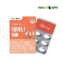 스트레스앤테아닌골드 테아닌 태아닌 긴장완화 스트레스, 1개, 60정