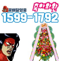꽃배달영웅 목포축하화환싼곳