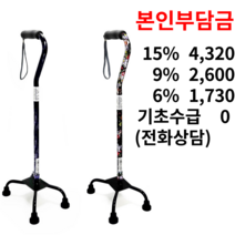 SKL-020 지팡이 복지용구 어르신 노인, 일반구매, 1개, 줄무늬