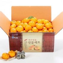 올탑농원 제주 노지감귤 실중량 4.5kg 중과, 단품