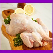 육계생닭/염지닭/06호550~650, 1개, 1각배절단_핫염지..