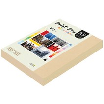 종이문화 프린트프로 칼라복사지 A5 80g No.03 베이지 250매, 250개