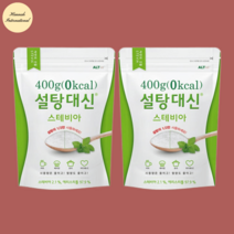설탕대신 스테비아 설탕 에리스리톨 0kcal 400g x 2봉, 옵션1