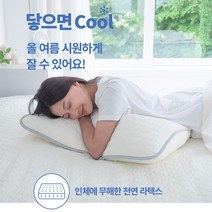 무더운 여름의 필수품 냉감 라텍스 쿨매트 아이스쿨링패드 (배게커버2개증정)