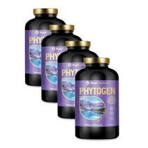 로얄캐네디언 파이토젠 린넨 석류 백수오 대두 추출불 500정 Royal Canadian Phytogen, 4개