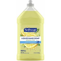 소프트솝 리퀴드 핸드 솝 시트러스 향, 1개, 946ml