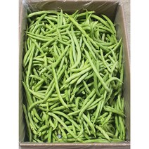 (차씨네숍)국내산 생그린빈스 롱빈 스트링빈 껌질콩 국내재배 그린빈 당일발송합니다, 국내산 신선한 생그린빈스 500g