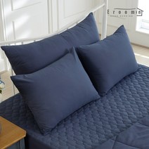 데일리 피치스킨 베개커버 2장 40X60 50X70, 로얄블루