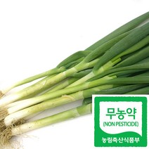 국산 친환경 대파 무농약 햇대파 급식 납품, 600g, 1개
