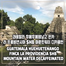 (커피생두) 47 과테말라 우에우에테낭고 핀카 라 프로비덴시아 SHB 마운틴워터 디카페인 500g