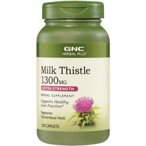 지엔씨 고함량 밀크씨슬 1300mg 120정, 1개, 1개팩