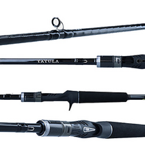 다이와 타툴라 XT 배스 민물 낚시대