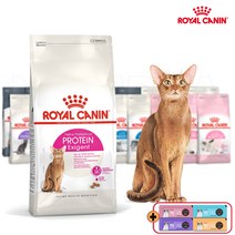 로얄캐닌 캣 프로틴 엑시전트 2kg 입맛까다로운고양이 체중유지 요로건강, 간식/지퍼백등 증정, 2023.11