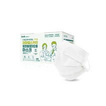라파힐 평판형비말차단용 마스크(덴탈마스크) - 100개입 (내용물 덴탈용/박스는 수술용), 100개입(내용물 덴탈용/박스는 수술용)