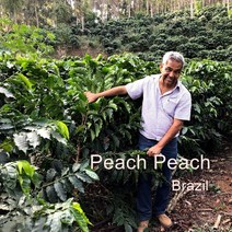 [위트러스트] 브라질 피치피치 200g Brazil Peach Peach/ 스페셜티 커피 원두, 홀빈