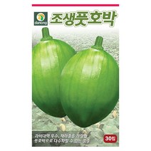 오메가 레드파프리카 씨앗 10립 - 파프리카 피망 파프리카씨 피망씨 야채씨앗 채소씨앗 채소재배 종묘 종자 베란다 텃밭 씨 씨앗 오이 호, 12_다농_조생 풋호박(30립)