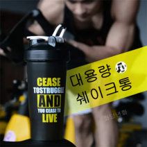화양년화 블렌딩 쉐이커 보틀 쉐이크통 파우더통 분리 헬스 쉐이커통 헬스 물통 텀블러 세척솔 증정, 블랙, A형 650ML 1개(케이스 미포함)