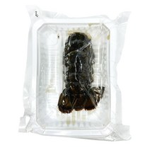 냉동 랍스터 테일 1미, 1, 본상품선택