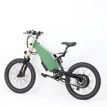 전기자전거 새로운 디자인 모델 산악 판매, 4.green