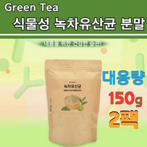 타먹는 맛있는 녹차 유산균 분말 가루 복합물 시너지 식물유래유산균 김치 lgg 여성 신소재
