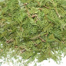 [편백 잎] 편백잎&줄기 허브 (비누 화장품 첨가물), 1개, 편백잎&줄기 허브-200g