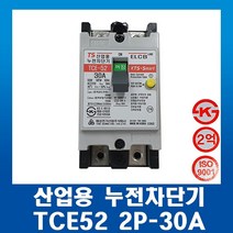 태성전기 산업용 누전차단기 TCE52-2P 30A ELCB, 1개