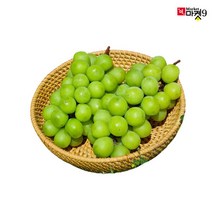 [초아농원] 영천 샤인머스캣 1kg 특품 2수, 단품