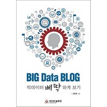 [개똥이네][중고-상] BIG Data BLOG 빅데이터 삐딱하게 보기