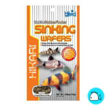 히카리 코리도라스 25G, 1개