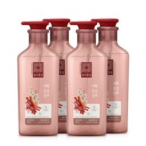 동의홍삼 매화홍삼 샴푸 힘없는 모발용, 4개, 500ml