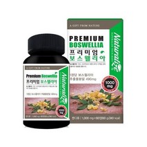 네추럴라이즈 프리미엄 보스웰리아 건강 관절 연골, 상세페이지 참조, 상세페이지 참조