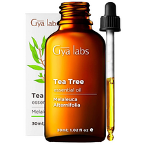 Gya Labs 피부 모발 얼굴 손톱 발톱 네일 건강 영양 보조 호주 티트리 오일 1.02fl oz