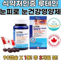 식약처확인 황반색소밀도유지 황반색소 루테인 아연 눈영양제추천 노안영양제 천연루테인 눈건조증 시력좋아지는법 눈의피로 눈피로 눈피로감 망막 지아잔틴 지아잔틴루테인 눈건강루테인 비문증