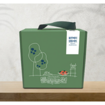 듬뿍농원 블루베리즙 12팩, 12개, 80ml