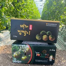 (강력추천) 명품 대저 짭짤이토마토 농협인증 정품 대저짭짤이, 1박스, 2.5kg, 03) 대저토마토 2.5kg (중과 M~L)