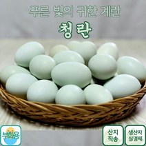 금강초계 청란 부화용, 40개입