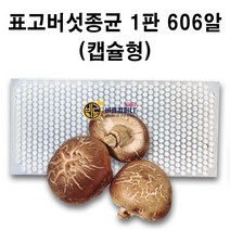 [표고버섯 종균] 606알 캡슐형 접종형 성형 버섯 종균