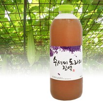 파피샵 국내산 무농약 수세미 도라지 진액 1L 수세미도라지즙 유기농설탕 함유, 1병