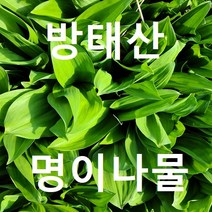 강원도 인제군 방동리 을릉도 명이나물2kg/ 산마늘2kg 친환경재배 1인농부 직배송