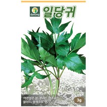 다농 산천 왕까마중 50립 - 씨 씨앗 까마중씨앗 까마중씨 강태 깜두라지 용규 나물씨앗 민속채소 채소씨 채소씨앗, 10_다농_일당귀(3g)