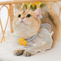 MOSAIRATION반려동물 액세서리 고양이 목걸이 강아지 목도리 반려동물 목걸이 학원풍 새해 반려동물 용품, 데이지 플라워, S【레이스 길이 20cm 목둘레 20-25cm 적합】적