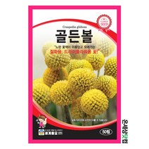 골든볼 50립/ 썬볼 꽃씨 화단 꽃밭 골든볼씨앗