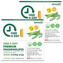 네추럴라이즈 원어데이 프리미엄 인지질 NON-GMO 대두레시틴, 90정, 2개