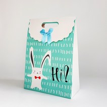 손잡이 선물 쇼핑백 결혼 답례 종이 상자 5p, 1개, 04토끼 중형 선물쇼핑백 5장 SAF71