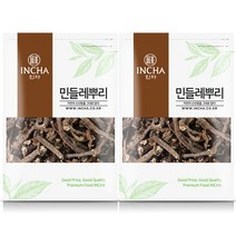 인차 국내산 민들레뿌리 민들레 포공영근 포공영뿌리 차, 300g, 2팩