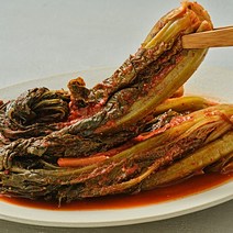 여수 나래식품 돌산 묵은 갓김치 1kg 국내산 김치 숙성, 1개