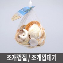 [RΘA] 조개껍질모음 꾸미기재료 만들기용 공예 장식 공작 만들기 껍대기 어항용 ▷_β5243Ea, fβ_천연조개껍데기